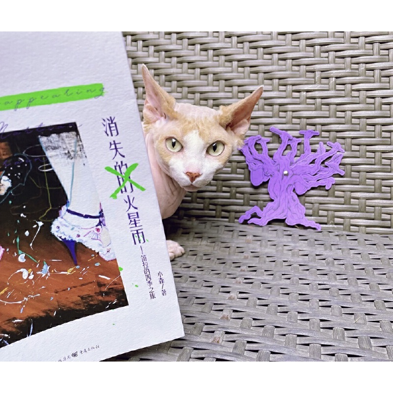 Сɭ����С�f(shu��)����ʧ�Ļ�����