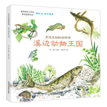 ��߅���ӵ���Ȼ�n-Ϫ߅��������