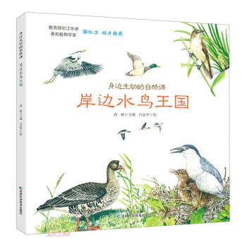 ��߅���ӵ���Ȼ�n-��߅ˮ�B����