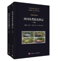 �Ĵ��~(y��)�ԭɫ�D־������(c��)��