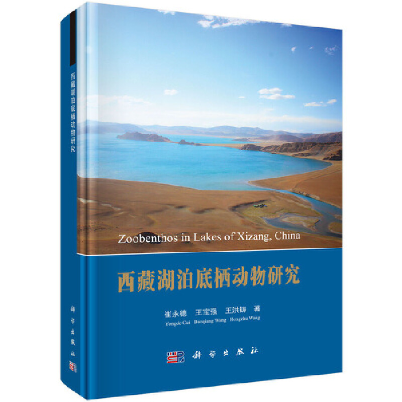 ���غ����ח������о�