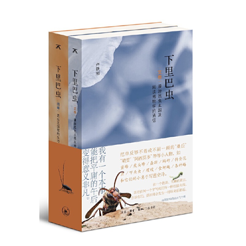 ������x�����x����