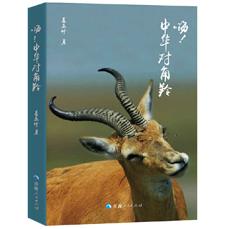 �������A������