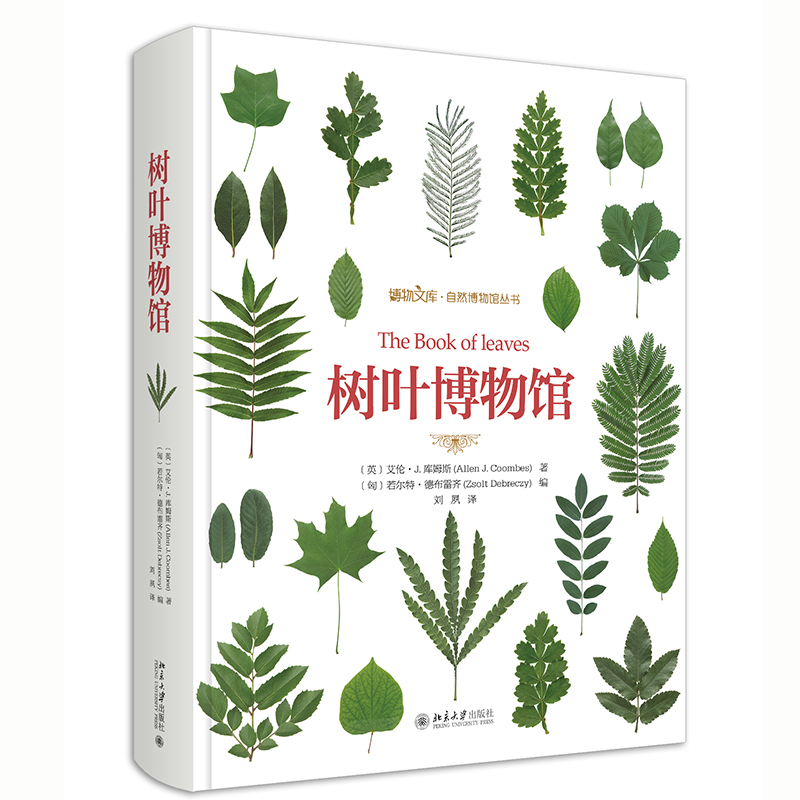 ���~�����^��ٛ(z��ng)Ʒ���b�棩