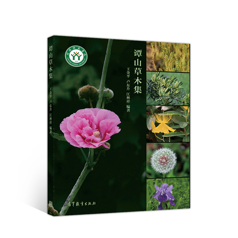 �Tɽ��ľ��