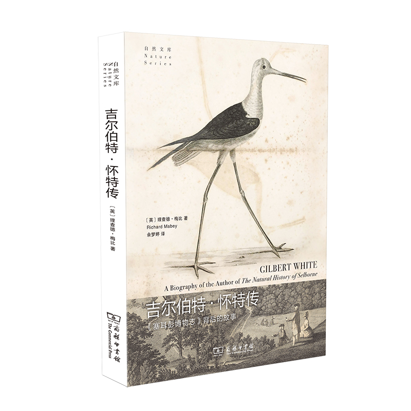 �������ء����؂�(��Ȼ�Ď�)