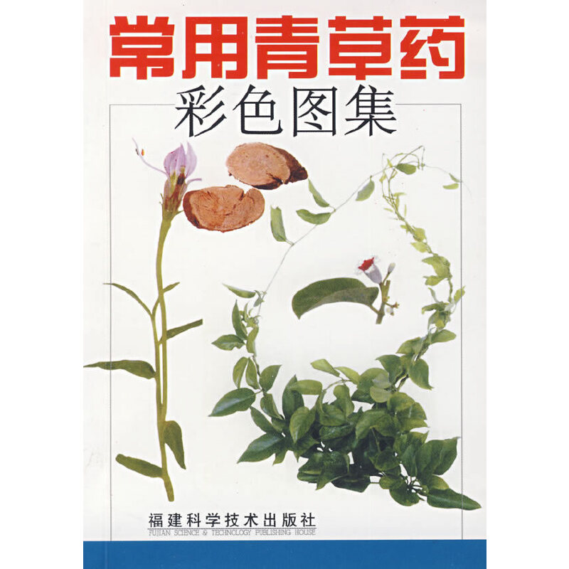 �������ˎ��ɫ�D��