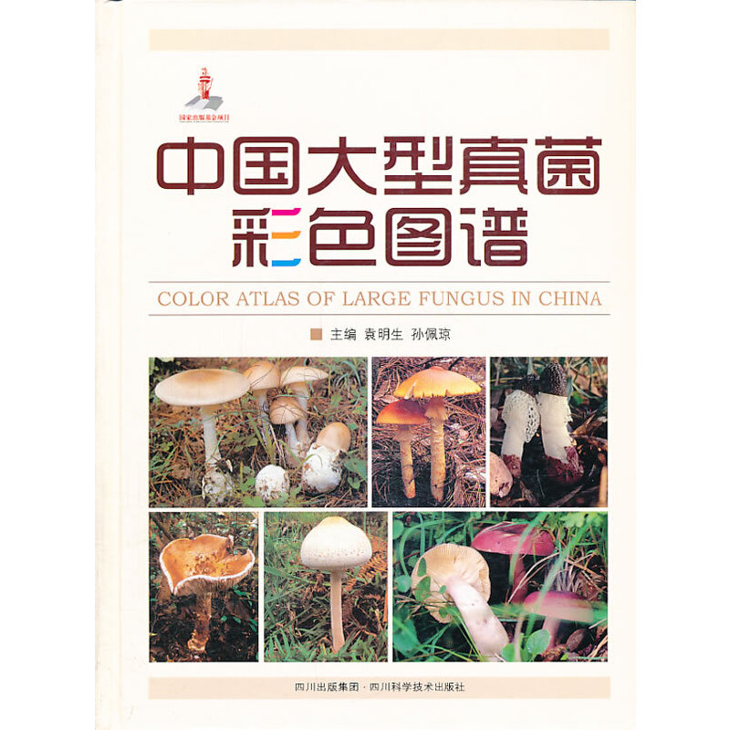 �Ї����������ɫ�D�V