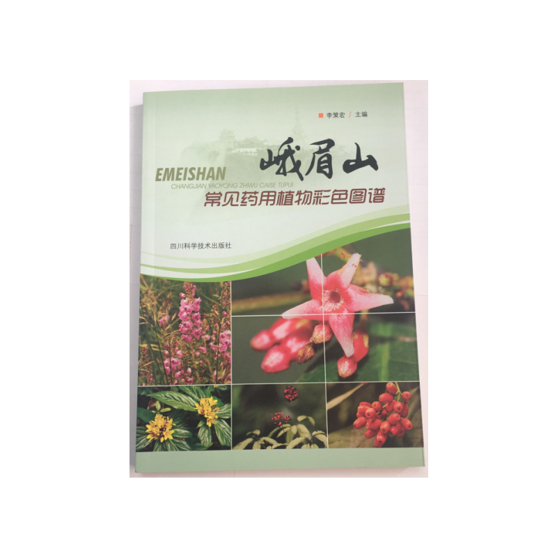 ��üɽ��Ҋˎ��ֲ���ɫ�D�V