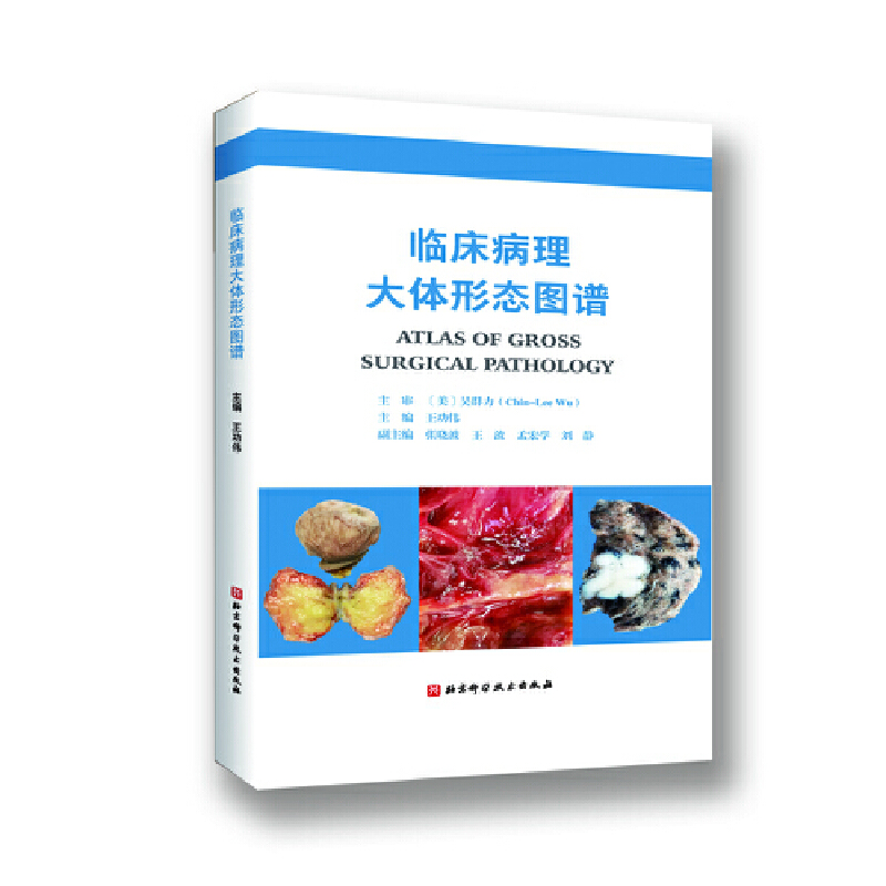 �R���������w�ΑB(t��i)�D�V