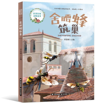 ���罛(j��ng)���(d��ng)�����  ����������