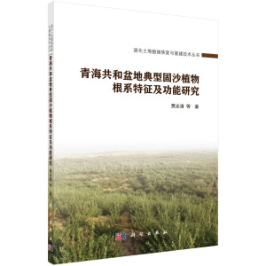 �ຣ������ص��͹�ɳֲ���ϵ�����������о�