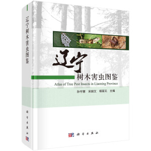 �|����ľ���x�D�b