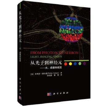  �Ĺ��ӵ���(j��ng)Ԫ�������������ҕ�X