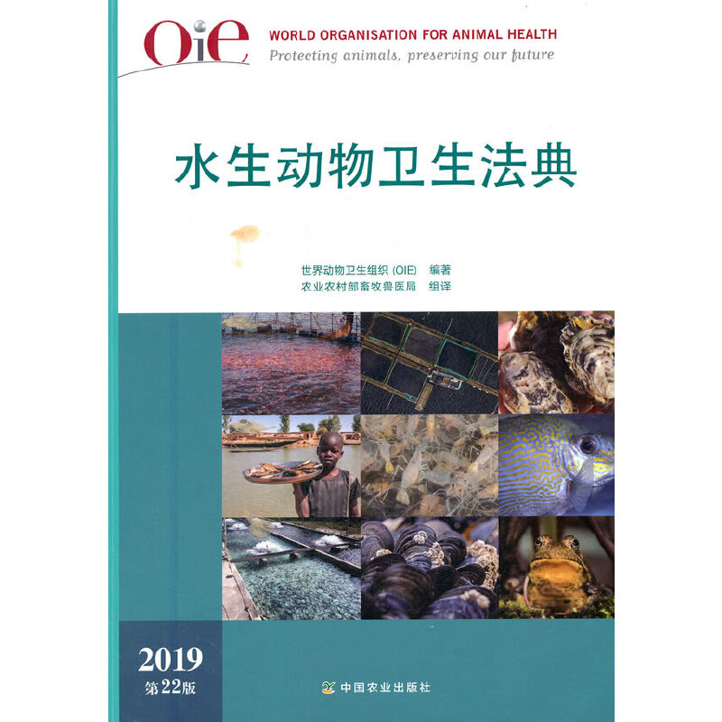 OIEˮ����(d��ng)���l(w��i)�����䣨2019����22��