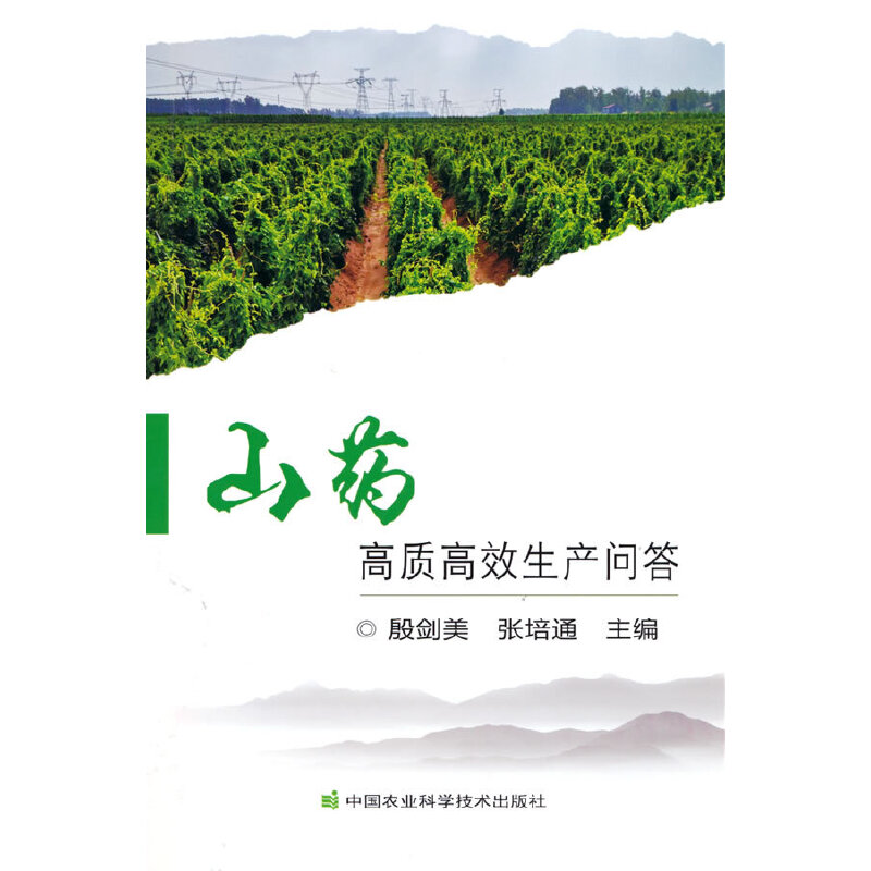 ɽˎ���|(zh��)��Ч���a(ch��n)����