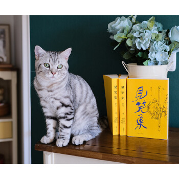  ҊЦ����ƽ���S��������Ԋ���H�L��(n��i)���150����Ԋٛ2��ľ�̼o(j��)��Ʊ