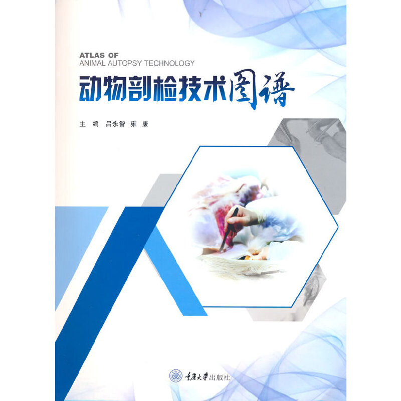 ��(d��ng)���ʙz���g(sh��)�D�V