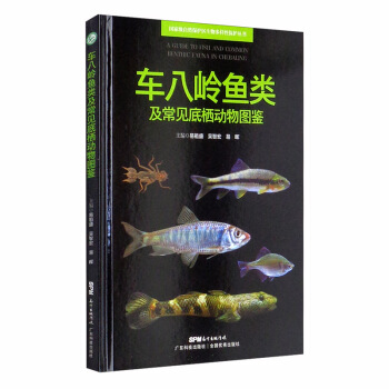 ܇�ˎX�~(y��)���Ҋ(ji��n)�ח���(d��ng)��D�b