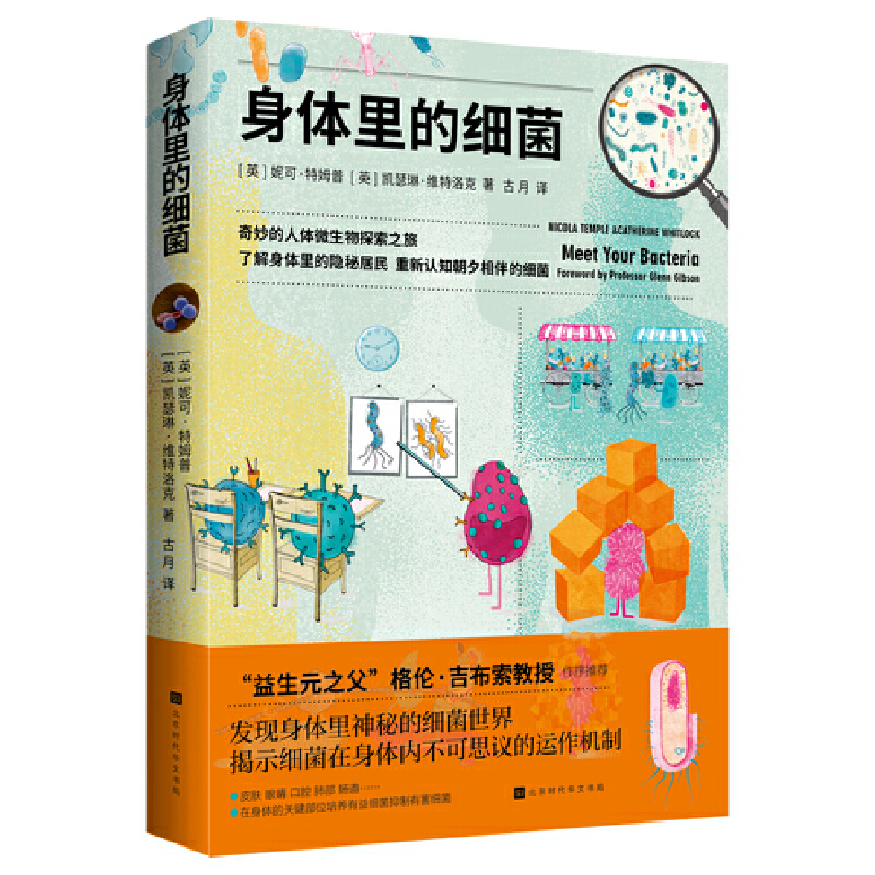 ���w��ļ�(x��)��