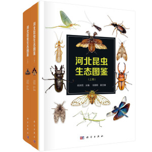 �ӱ����x���B(t��i)�D�b���Ͼ����¾���