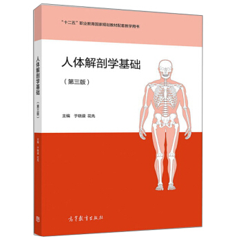 ���w���ʌW(xu��)���A(ch��)����3�� ʮ�����I(y��)������(gu��)��Ҏ(gu��)���̲����׽̌W(xu��)�Õ���