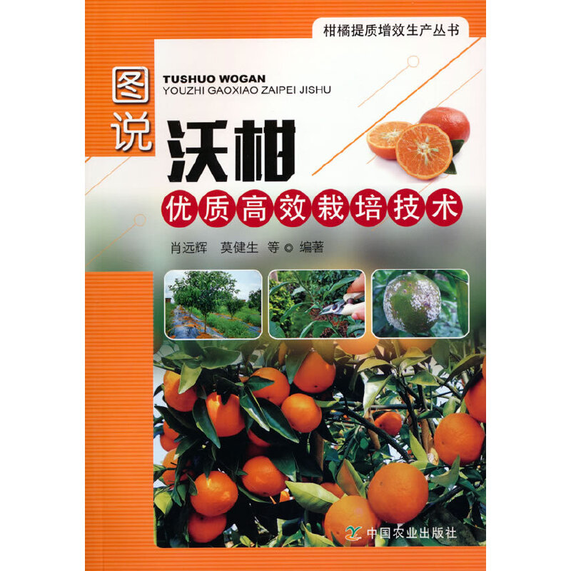 �D�f(shu��)�ָ̃�(y��u)�|(zh��)��Ч���༼�g(sh��)(�缉(j��)�Ј�(ch��ng)��(sh��))