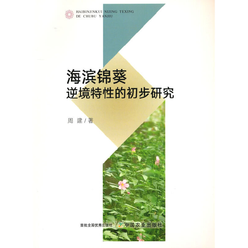 ���I�\���澳���Եĳ����о�