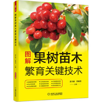 �D�������ľ�����P�I���g��12�N����޽�������ľ�������硢�����硢�w������Ǥ�������ľ����������