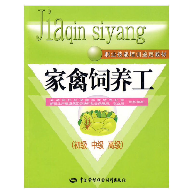 ������B(y��ng)�������������߼������̲�