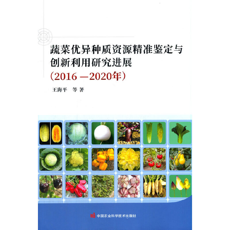 �߲˃�(y��u)���N�|(zh��)�YԴ����(zh��n)�b���c��(chu��ng)�������о��M(j��n)չ��2016-2020�꣩