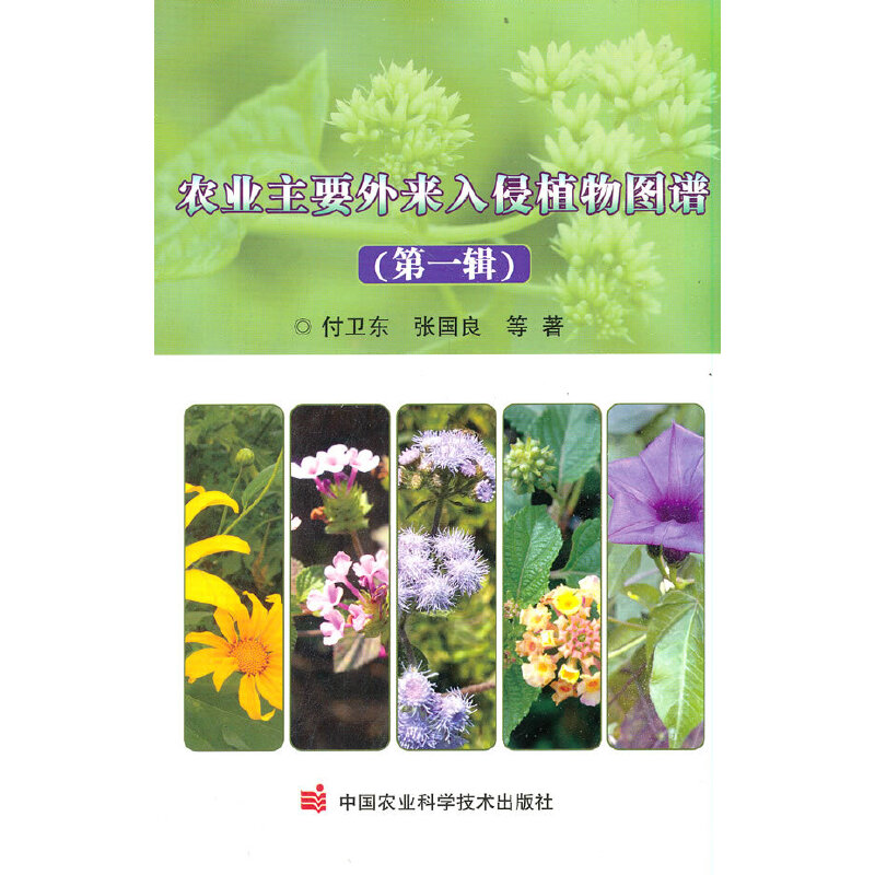 �r(n��ng)�I(y��)��Ҫ�������ֲ��D�V