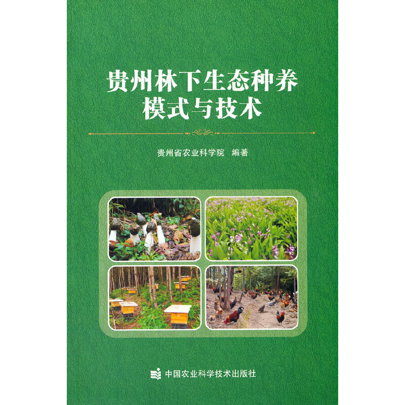 �F���������B(t��i)�N�B(y��ng)ģʽ�c���g(sh��)