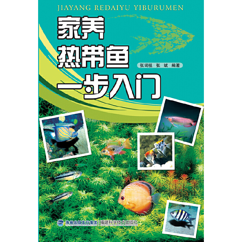 ���B(y��ng)�Ꭷ�~(y��)һ�����T(m��n)