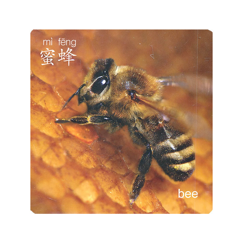 �������p�Z���ɿ�Ƭ����(d��ng)���