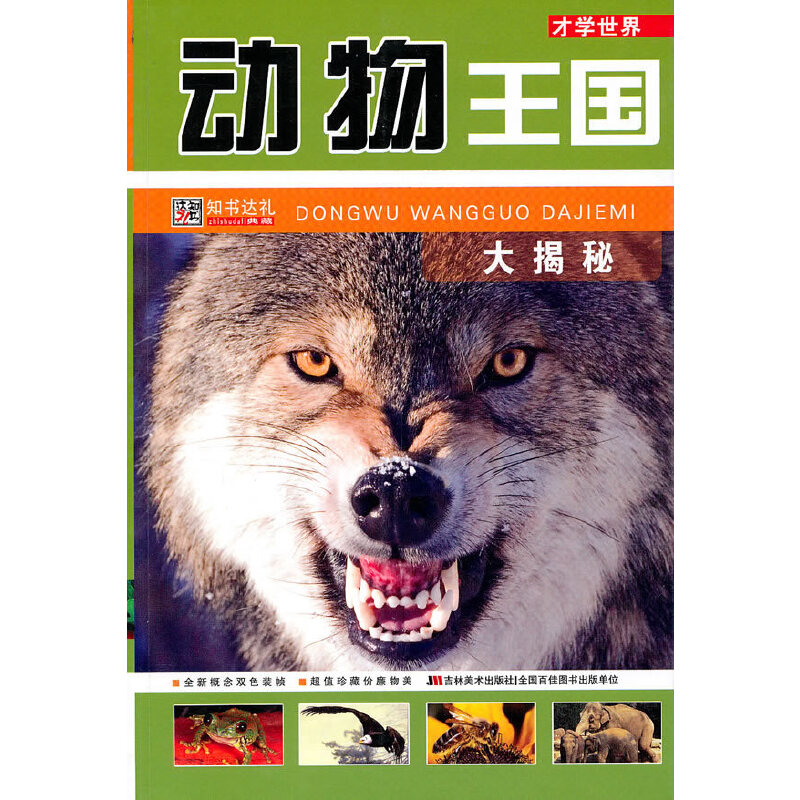 �ŌW���磺�������������