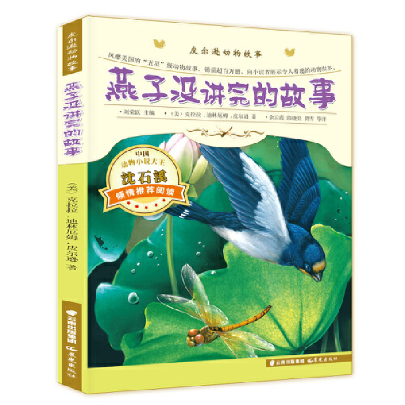 Ƥ���d�Ӯ�����-���ӛ]�v��Ĺ���