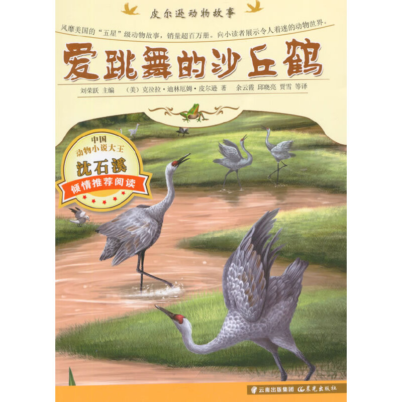 Ƥ���d�Ӯ�����-�������ɳ���Q