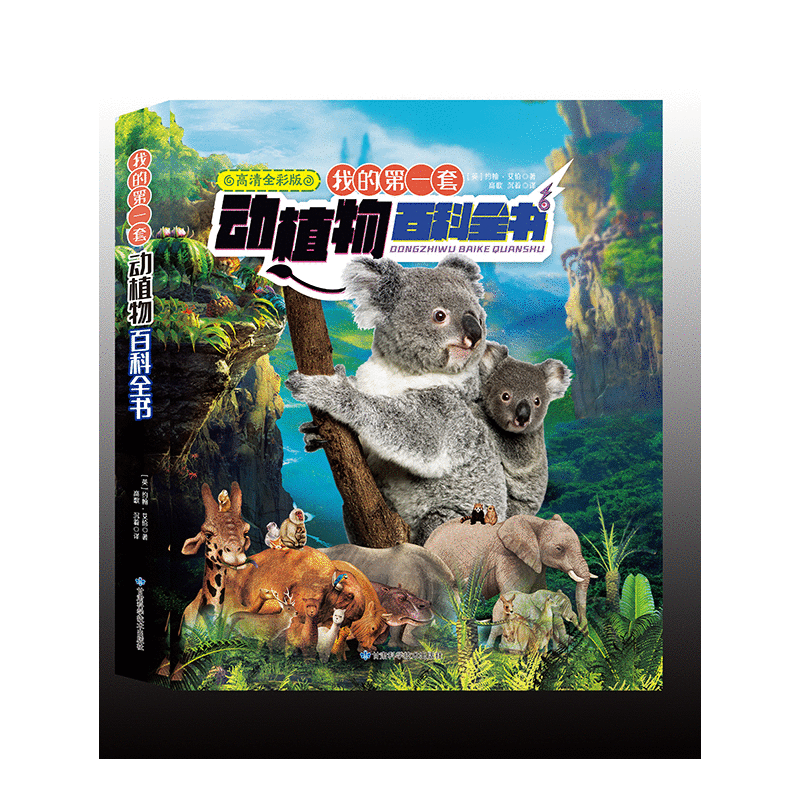 �ҵĵ�һ�ׄ�(d��ng)ֲ��ٿ�ȫ��(sh��)��ȫ6��(c��)��