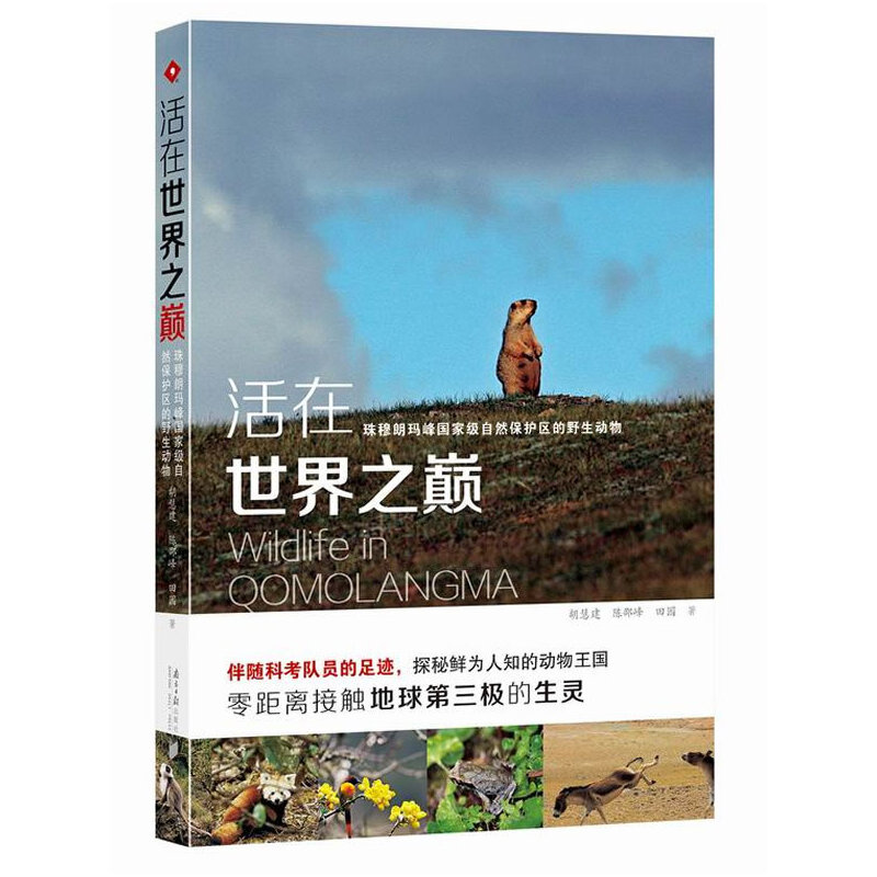 ����������֮�p�������ʬ����(gu��)�Ҽ�(j��)��Ȼ���o(h��)�^(q��)��Ұ����(d��ng)����塰�O�����o����ʏһƬ�����f���J(r��n)֪��181�N��ϡ�r��ĸ�ԭ��