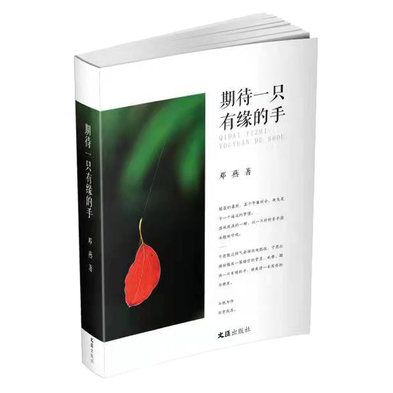 �ڴ�һֻ�о�����