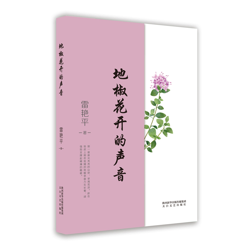 �ؽ����_����