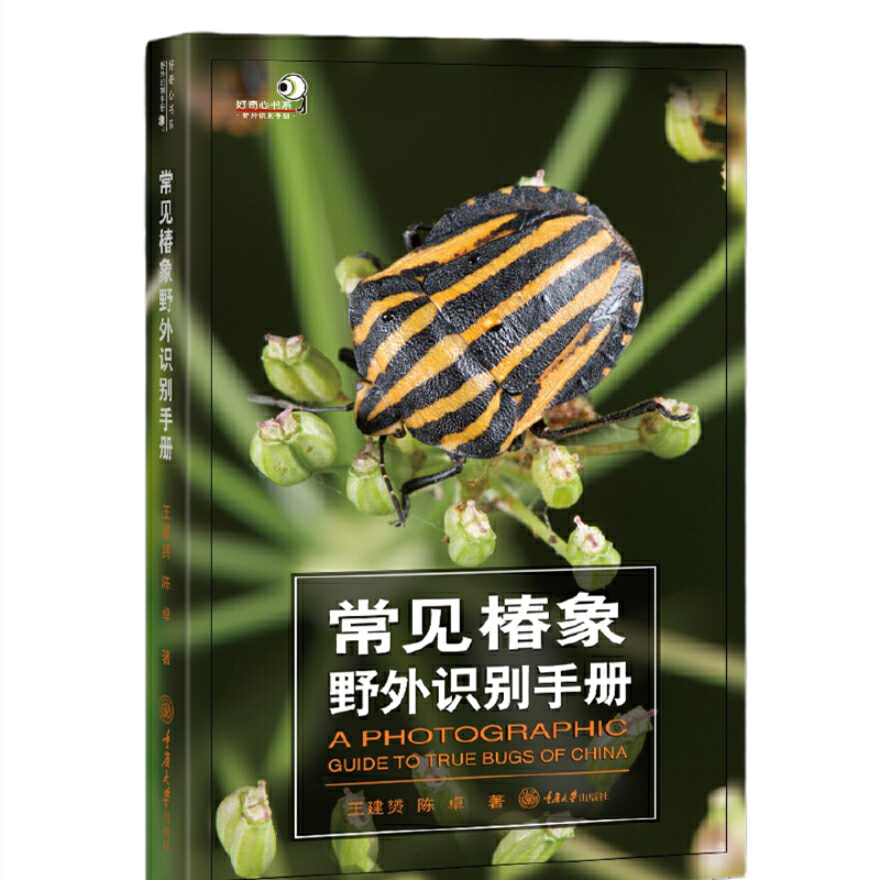 ��Ҋ(ji��n)����Ұ���R(sh��)�e�փ�(c��)