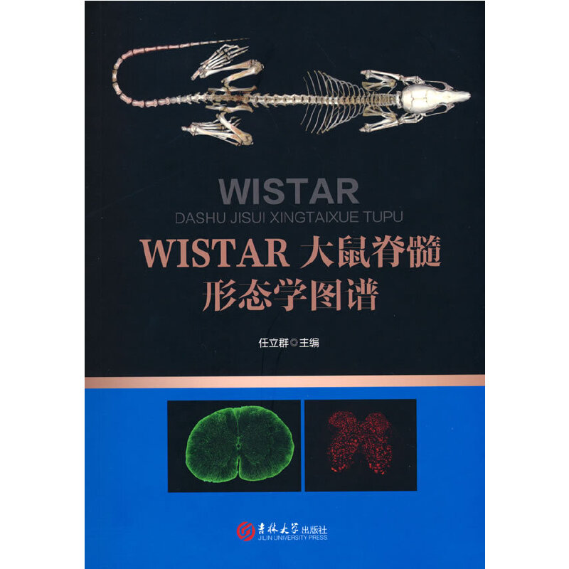 WISTAR����ļ����ΑB(t��i)�W(xu��)�D�V