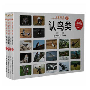 ͯ�ۿ����磨ȫ4�ԣ�