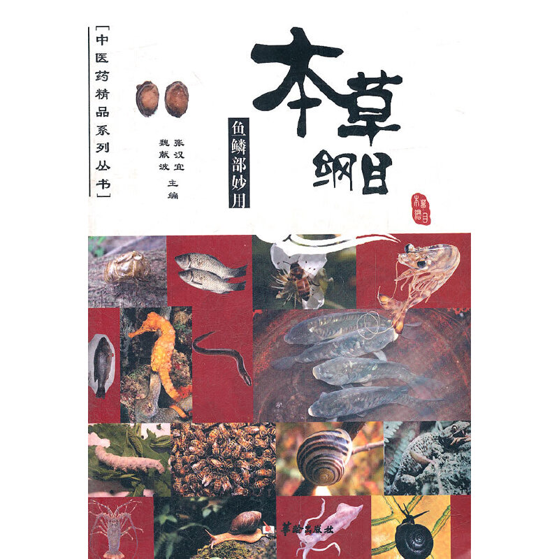 ���ݾVĿ--�~(y��)�[������