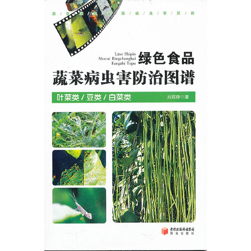 �GɫʳƷ�߲˲��x�����ΈD�V:�~�����������ײ��