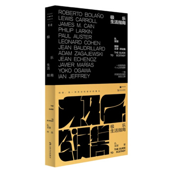 �O������ָ��