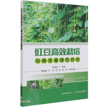 ������Ч�����c���x(ch��ng)���Gɫ����