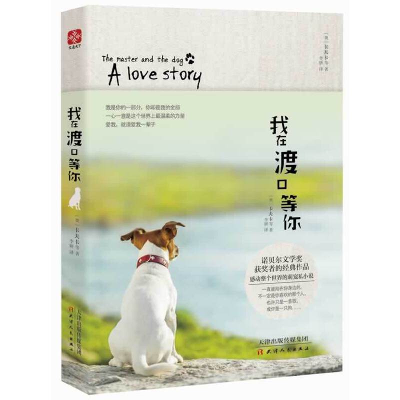 �ČW(xu��)�������������ڶɿڵ���